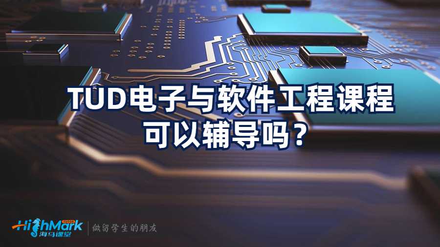 TUD电子与软件工程课程可以辅导吗？