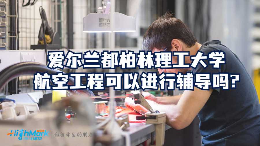 爱尔兰都柏林理工大学航空工程可以进行辅导吗?