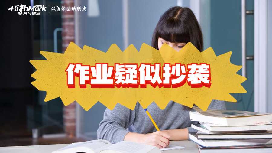 作业疑似抄袭学术不端