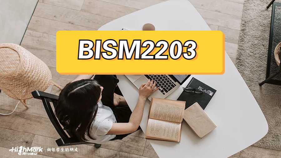 BISM2203
