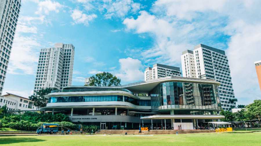 新加坡国立大学report怎么写