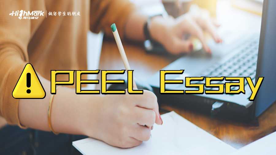 PEEL Essay