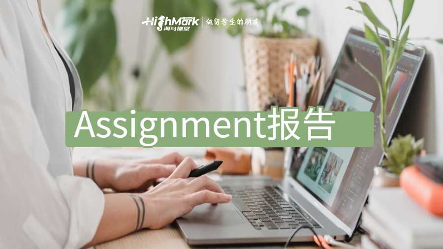 Assignment报告