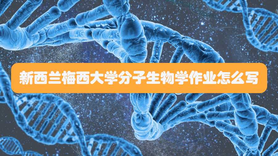 新西兰梅西大学分子生物学作业怎么写