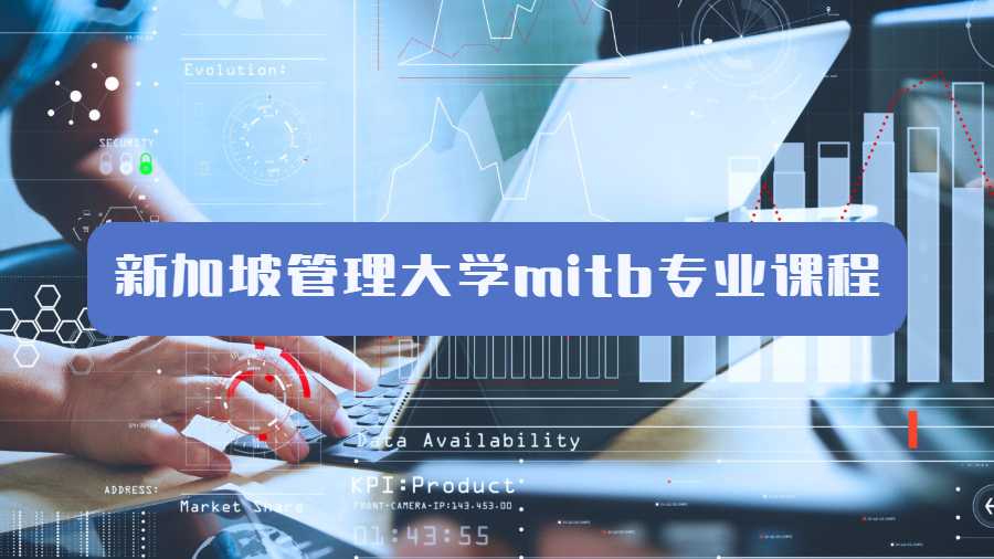 新加坡管理大学mitb专业课程