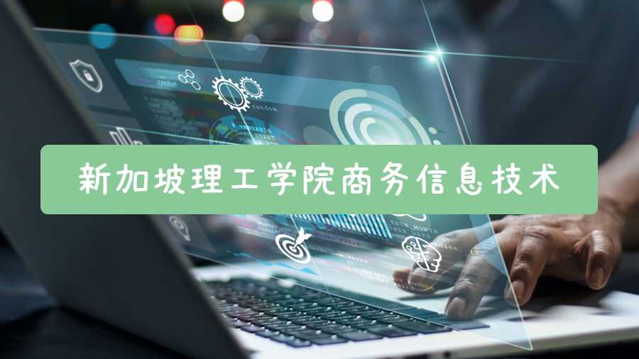 新加坡理工学院商务信息技术课程补习