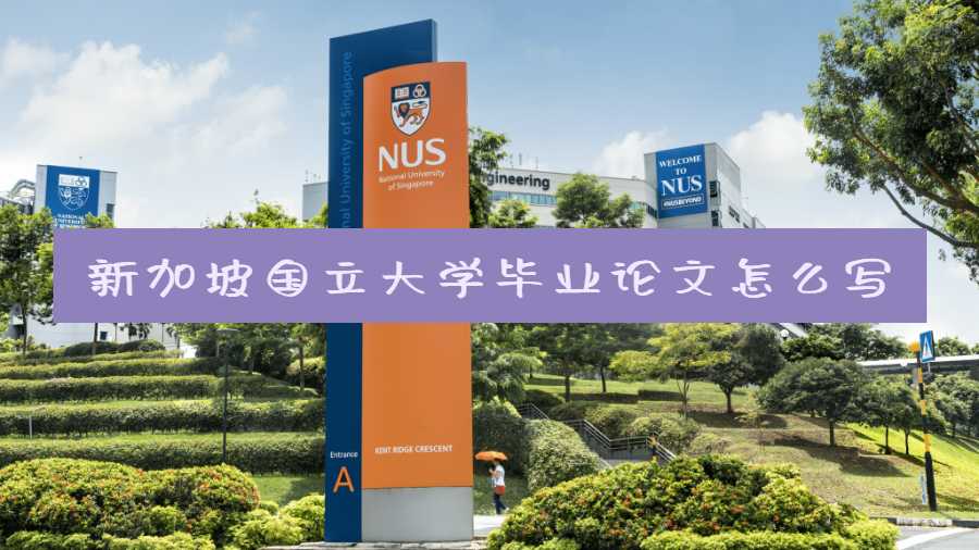 新加坡国立大学毕业论文怎么写