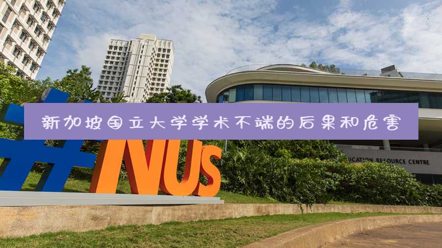 新加坡国立大学学术不端的后果和危害
