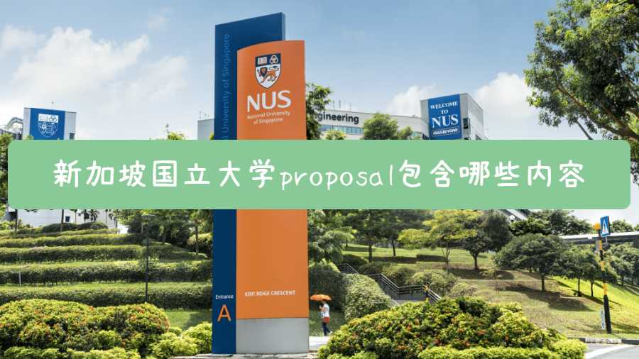 新加坡国立大学proposal包含哪些内容