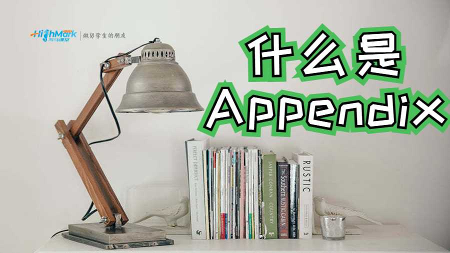 什么是Appendix