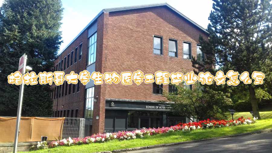 格拉斯哥大学生物医学工程毕业论文怎么写