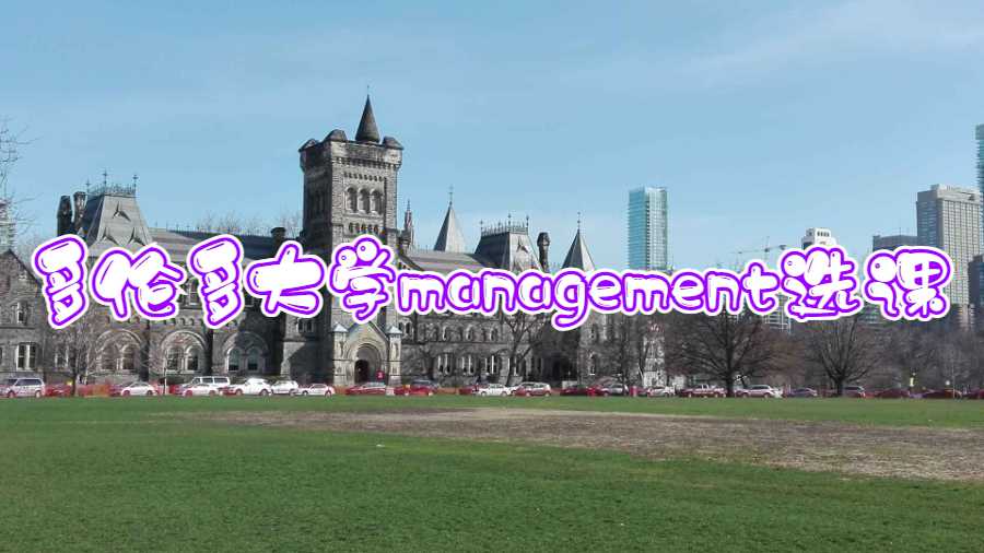 多伦多大学management选课