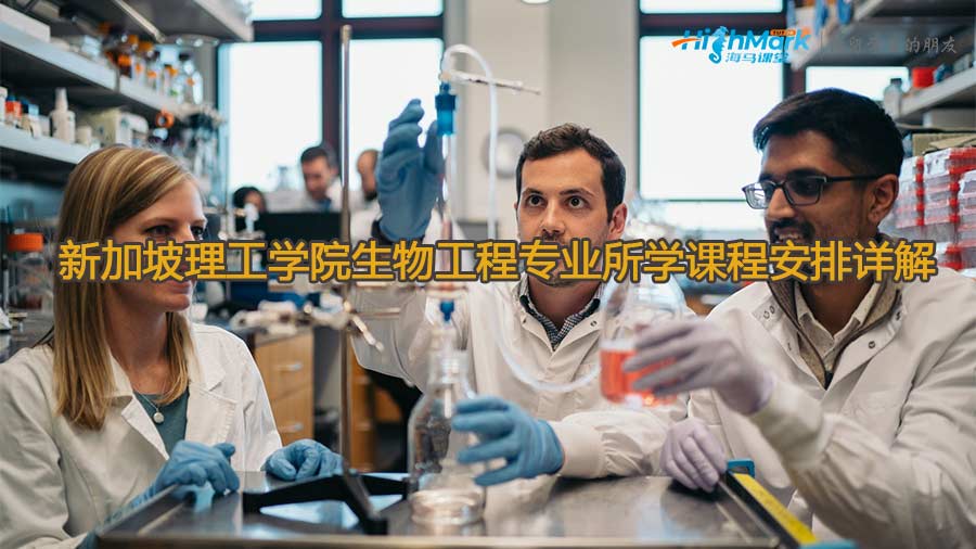 新加坡理工学院生物工程专业所学课程安排详解