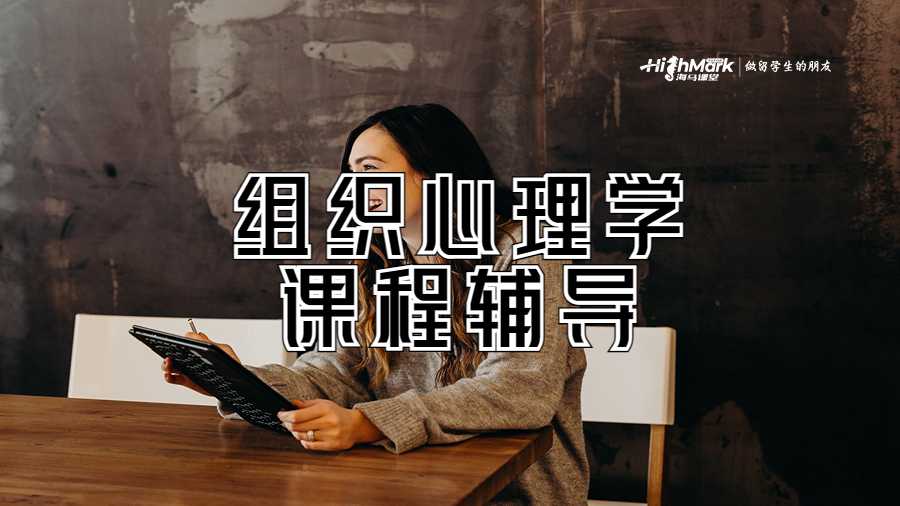 组织心理学课程辅导