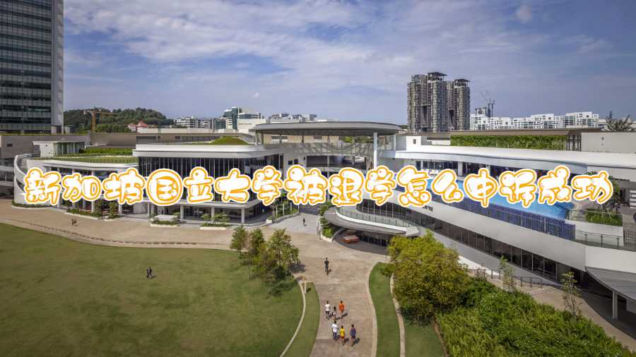 新加坡国立大学被退学怎么申诉成功