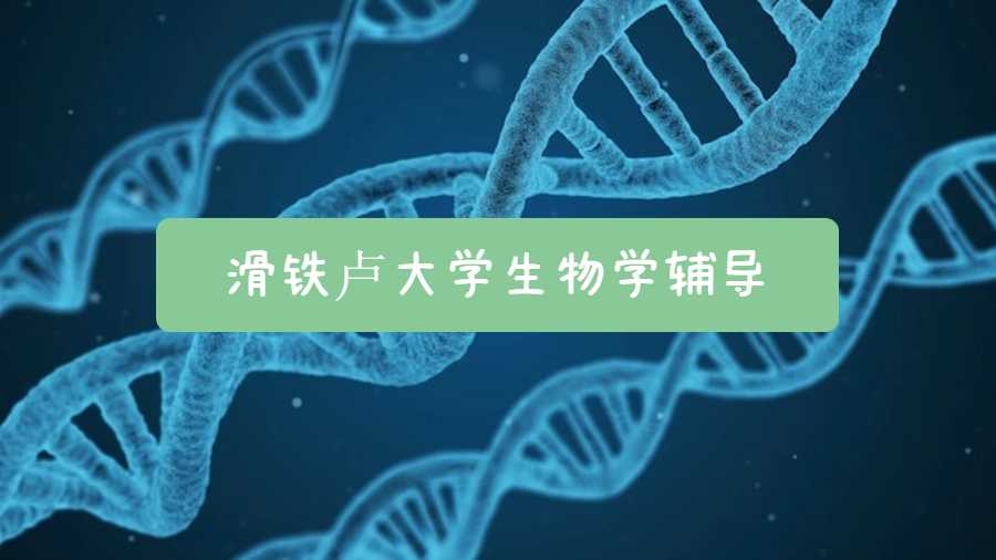 滑铁卢大学生物学辅导