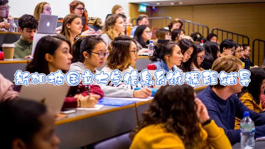 新加坡国立大学信息系统课程辅导