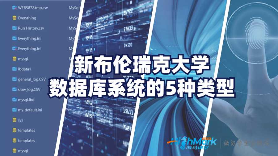新布伦瑞克大学数据库系统的5种类型