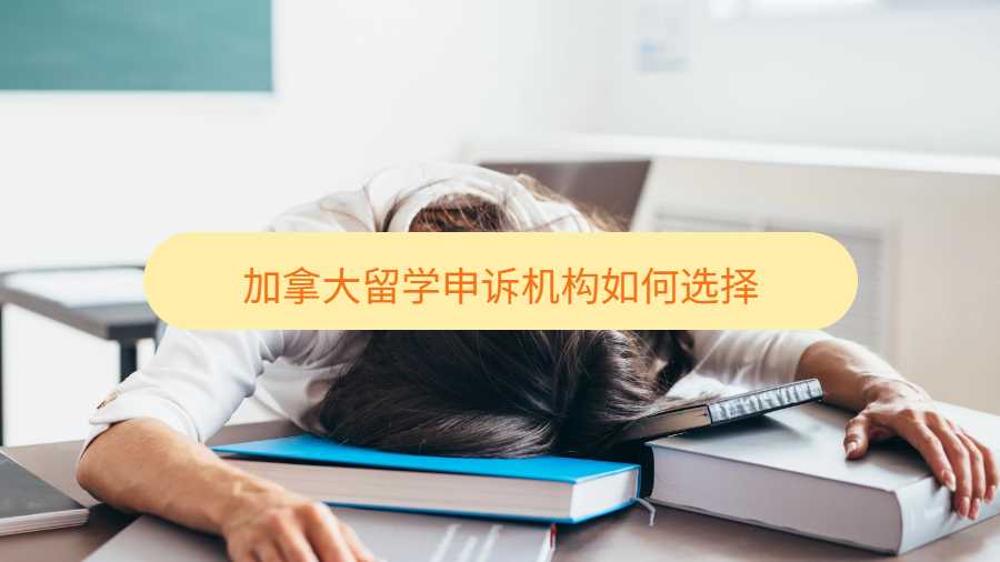 加拿大留学申诉机构如何选择