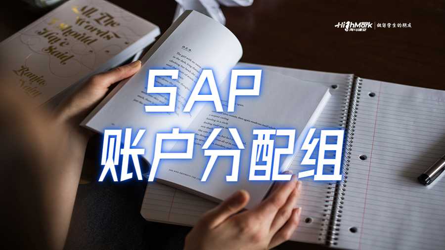 如何在 SAP 中维护账户分配组