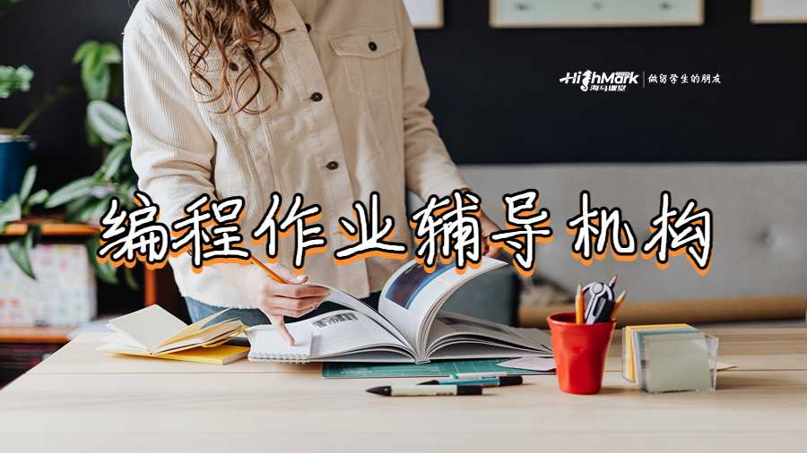 编程作业辅导机构