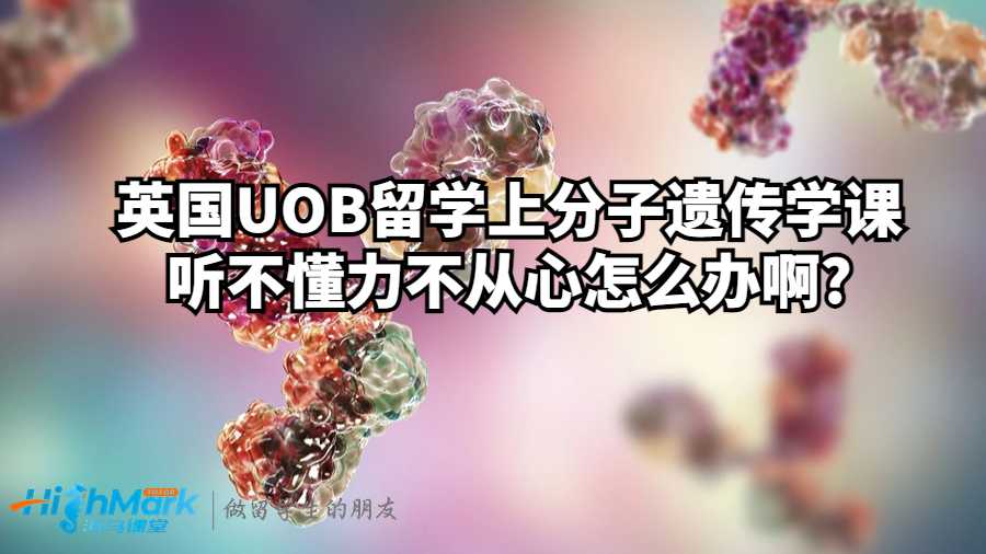 分子遗传