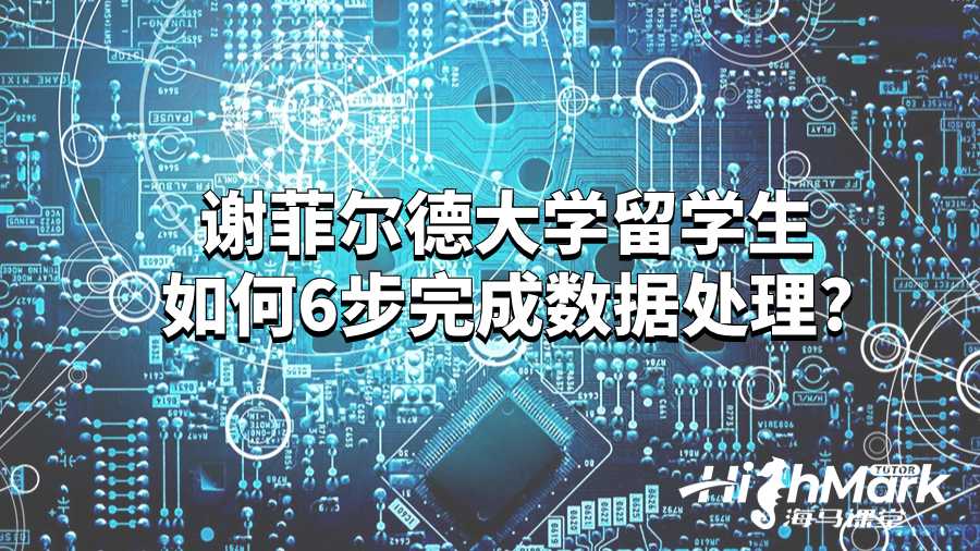 谢菲尔德大学留学生如何6步完成数据处理?