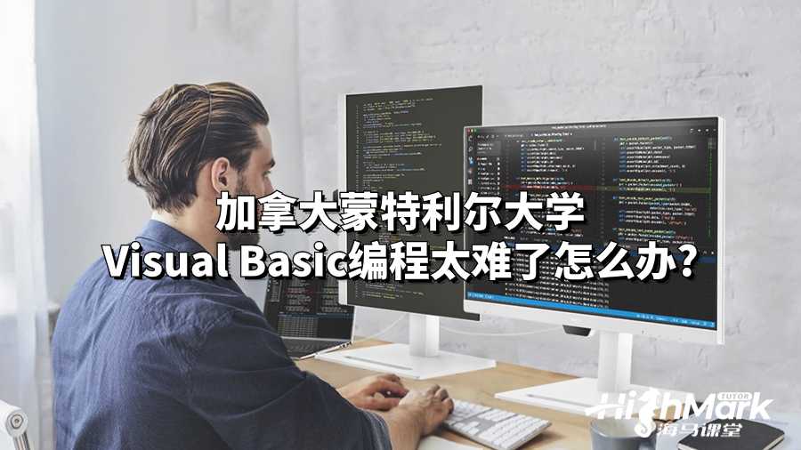 加拿大蒙特利尔大学Visual Basic编程太难了怎么办?