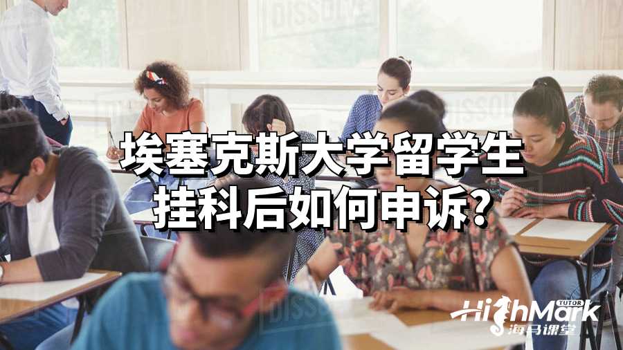 埃塞克斯大学