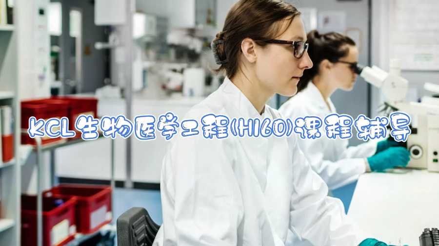 KCL生物医学工程(H160)课程辅导什么