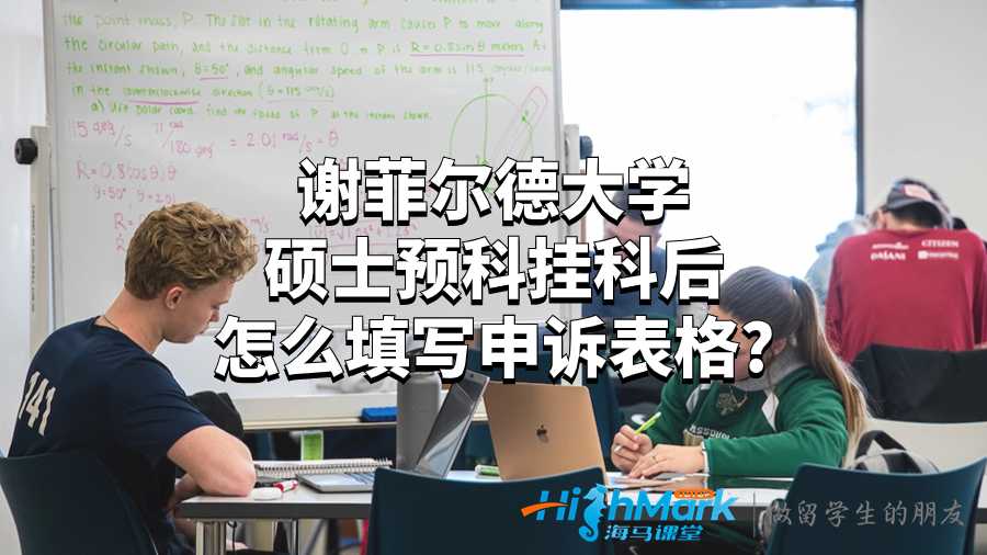 谢菲尔德大学