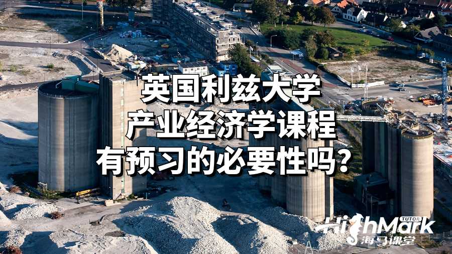 英国利兹大学产业经济学课程有预习的必要性吗？