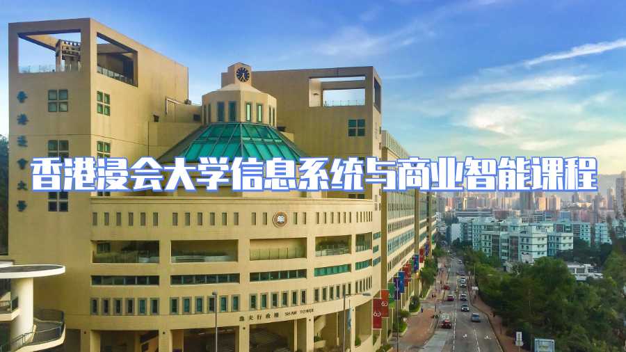 香港浸会大学信息系统与商业智能课程内容