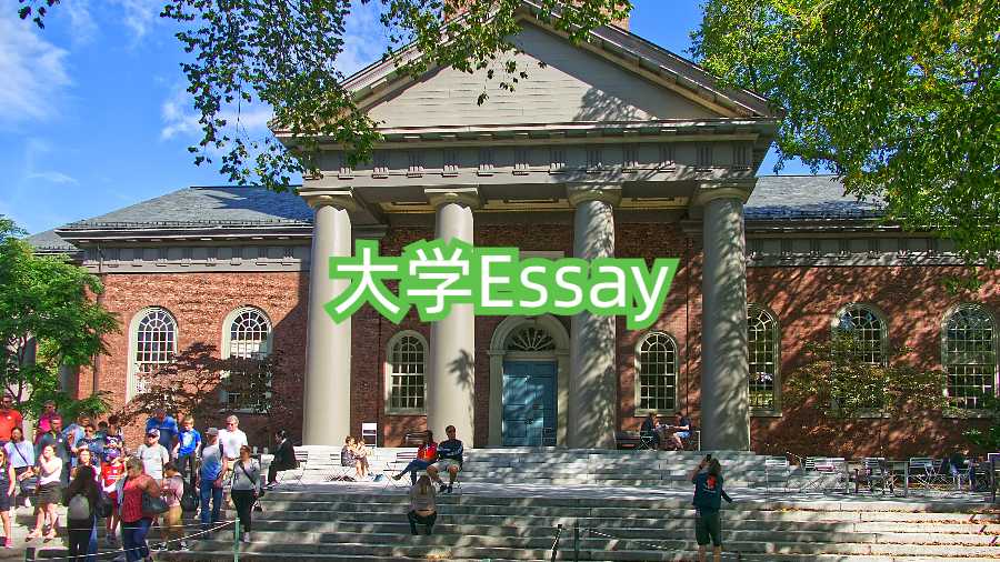 大学Essay