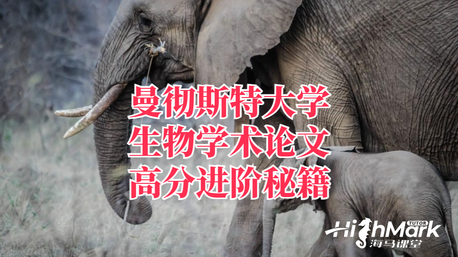 曼彻斯特大学生物学术论文高分进阶秘籍