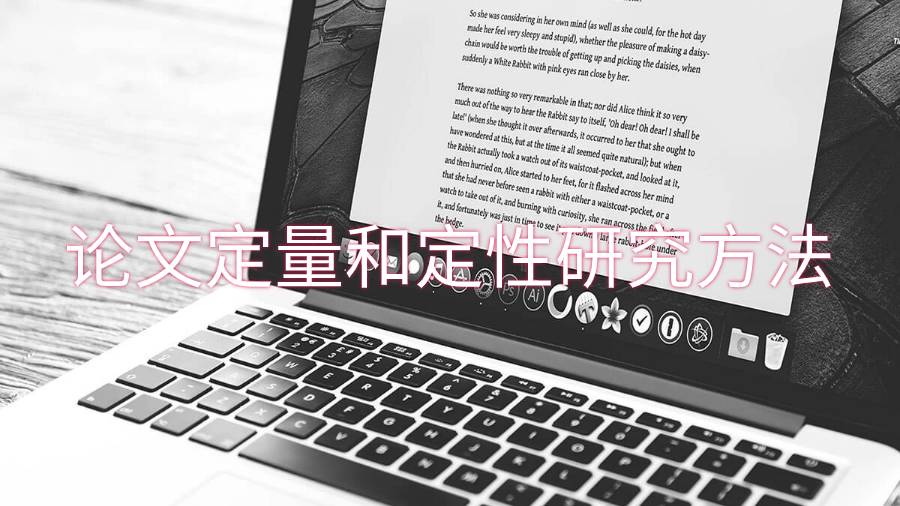 留学生论文定量和定性研究方法