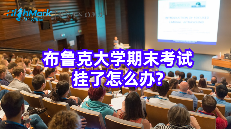 布鲁克大学