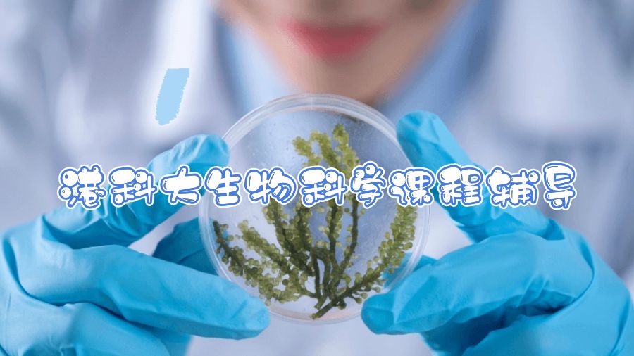 港科大生物科学课程辅导
