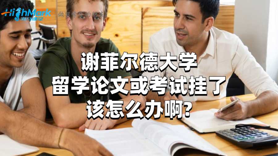 谢菲尔德大学留学论文或考试挂了该怎么办啊?