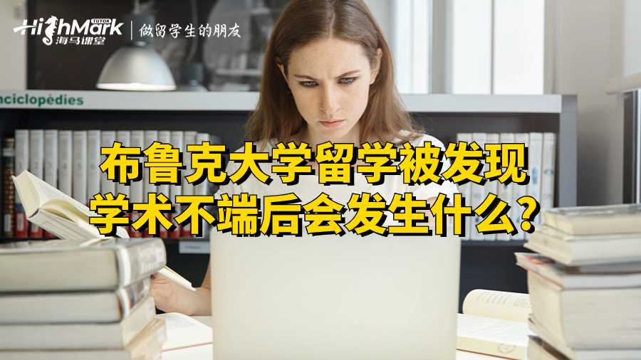 布鲁克大学