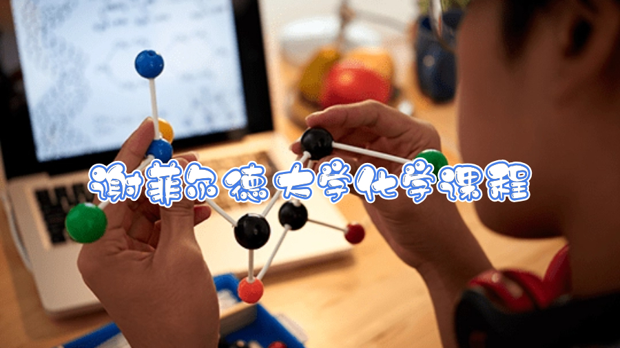 谢菲尔德大学化学课程都学什么