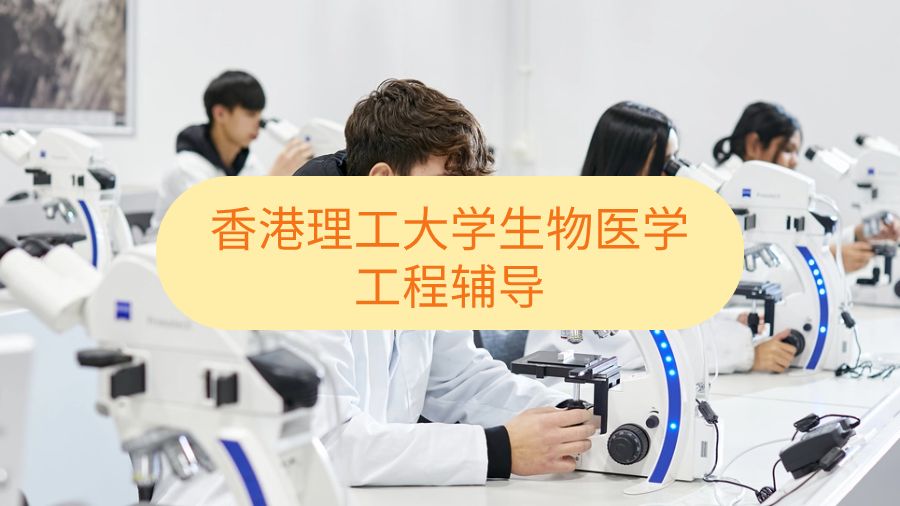 香港理工大学生物医学工程辅导