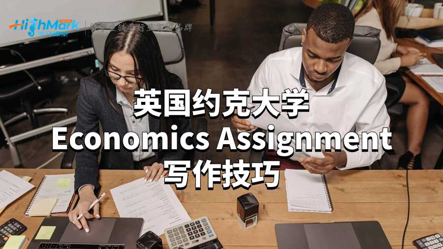 英国约克大学Economics Assignment写作技巧