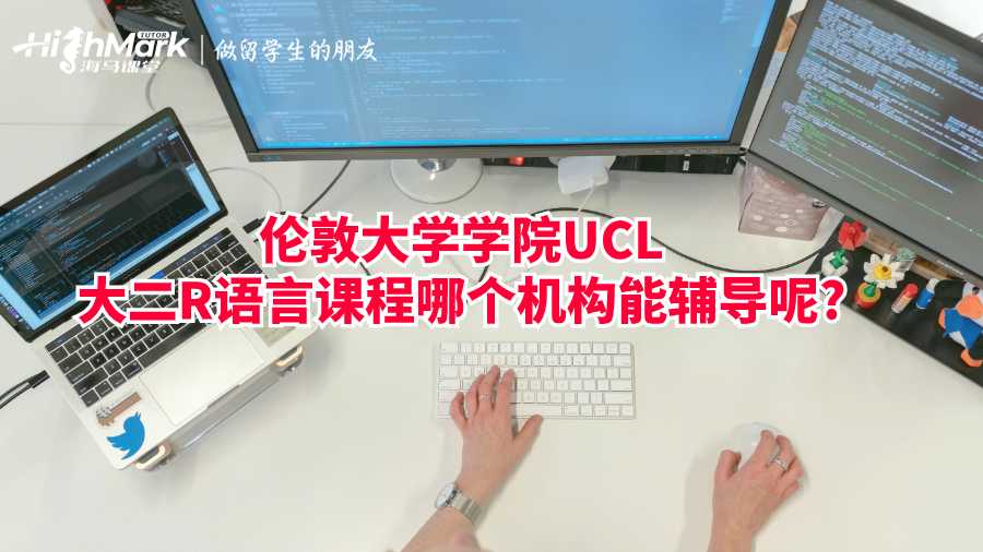 伦敦大学学院UCL大二R语言课程哪个机构能辅导呢?