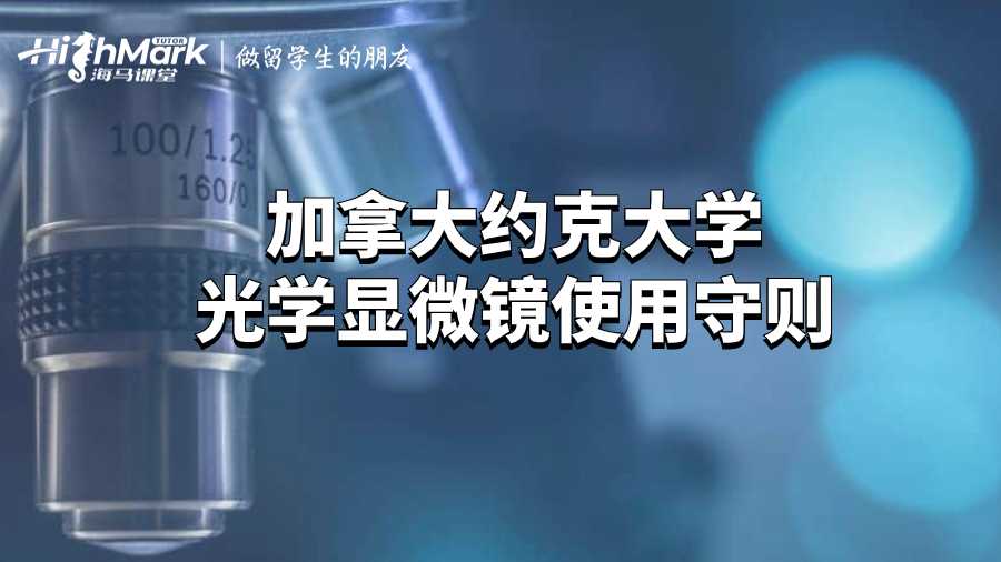 约克大学