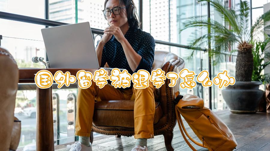 国外留学被退学了怎么办
