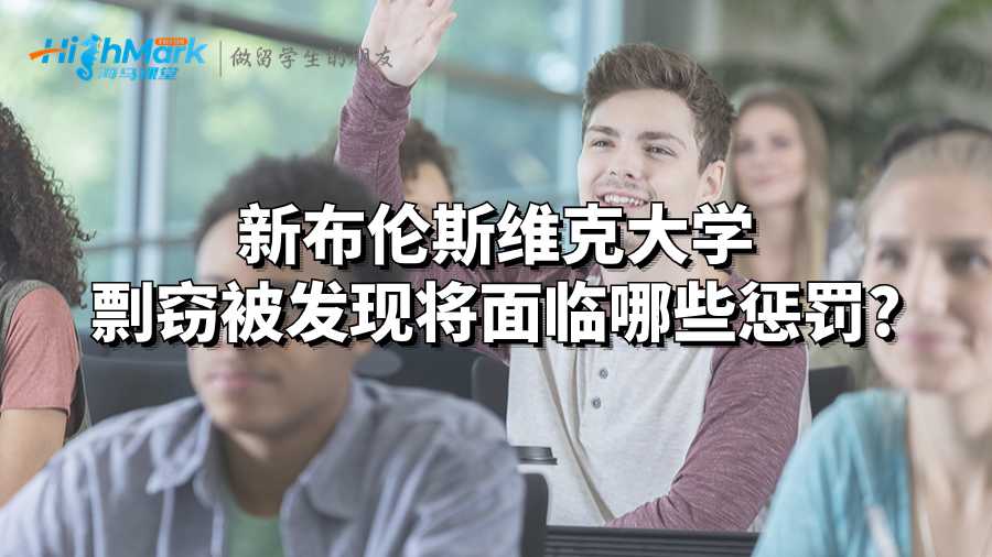 新布伦斯维克大学剽窃被发现将面临哪些惩罚?