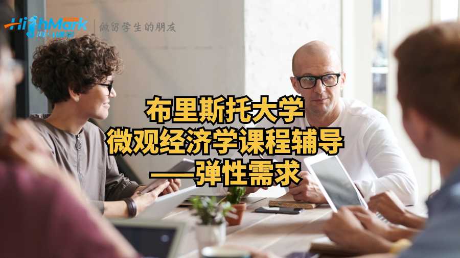 布里斯托大学微观经济学课程辅导——弹性需求