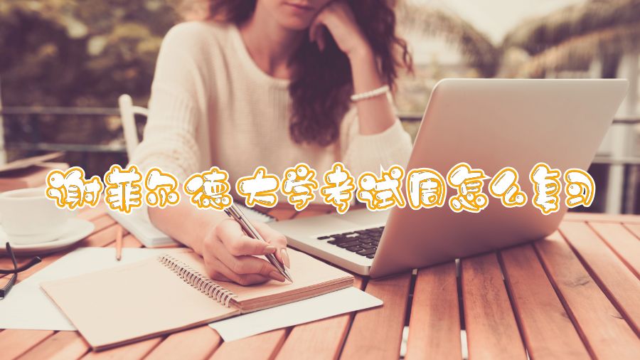 谢菲尔德大学考试周怎么复习