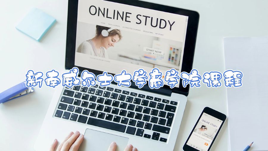 新南威尔士大学商学院课程